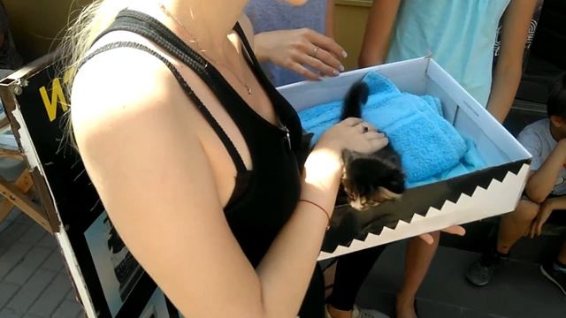 Тизер сюжета про Каменск Шахтинский и локаций рядом.