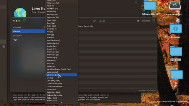 Lingu Translate Mac App Store (Basic Overview)