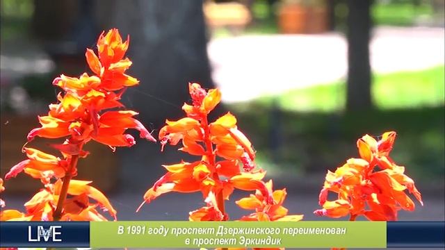 LIVE Бульвар Эркиндик