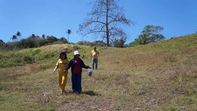 Amadeo 3 Hectares Farm