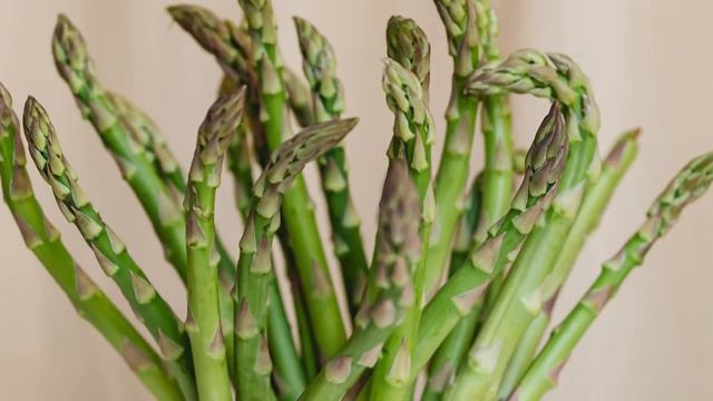 Asparagus Song - Official Music Video