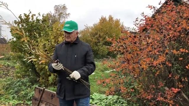 Дела огородные с Анатолием Ладухиным. Заботимся об АГРОфизике почвы.