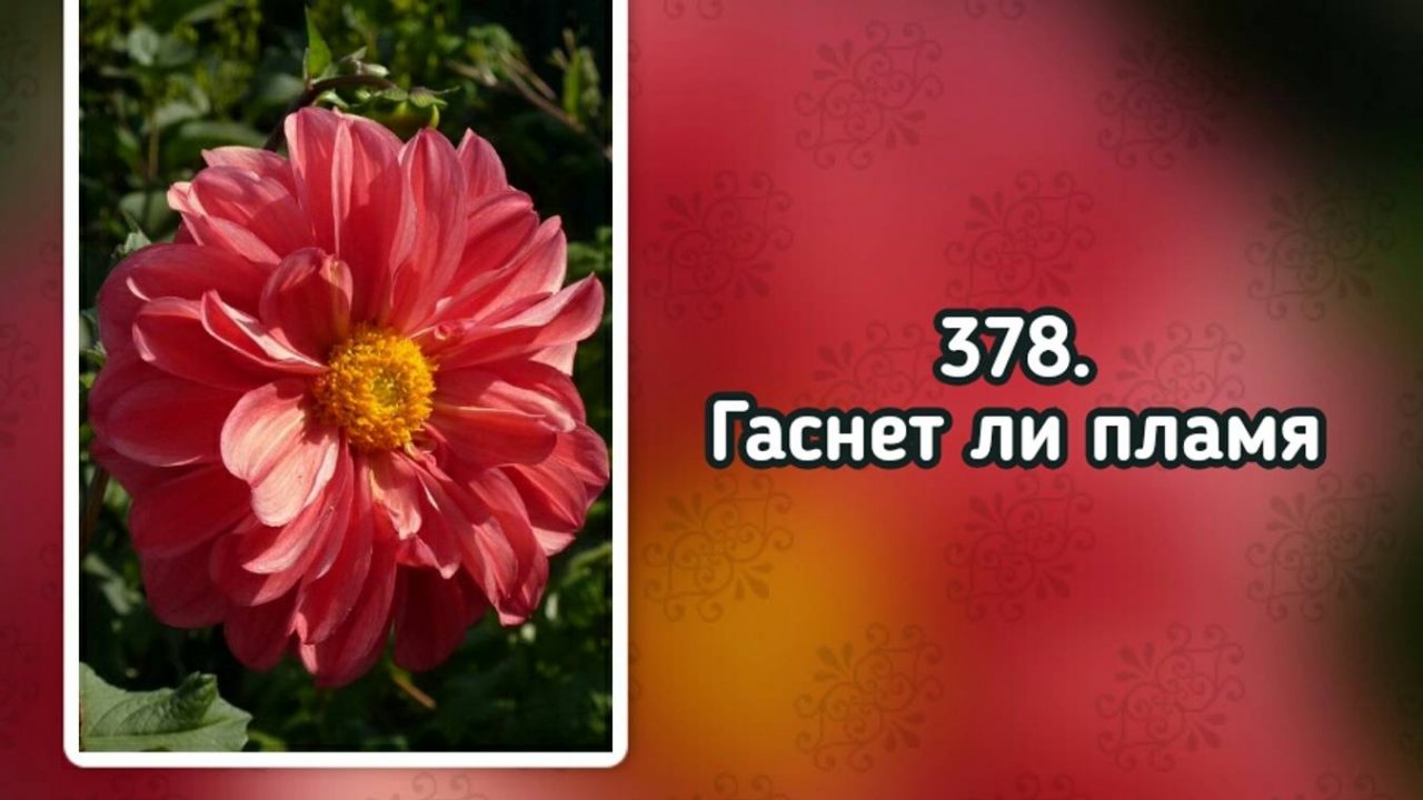 Гимны надежды 378 Гаснет ли пламя (-)