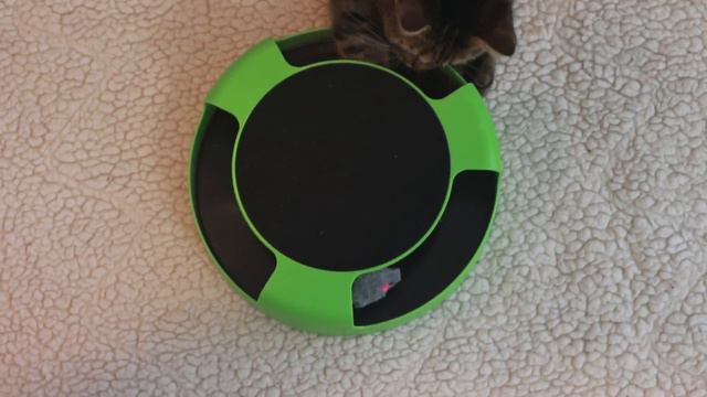 Интерактивная игрушка для кошек «Поймай мышку» | Catch the mouse [2021]