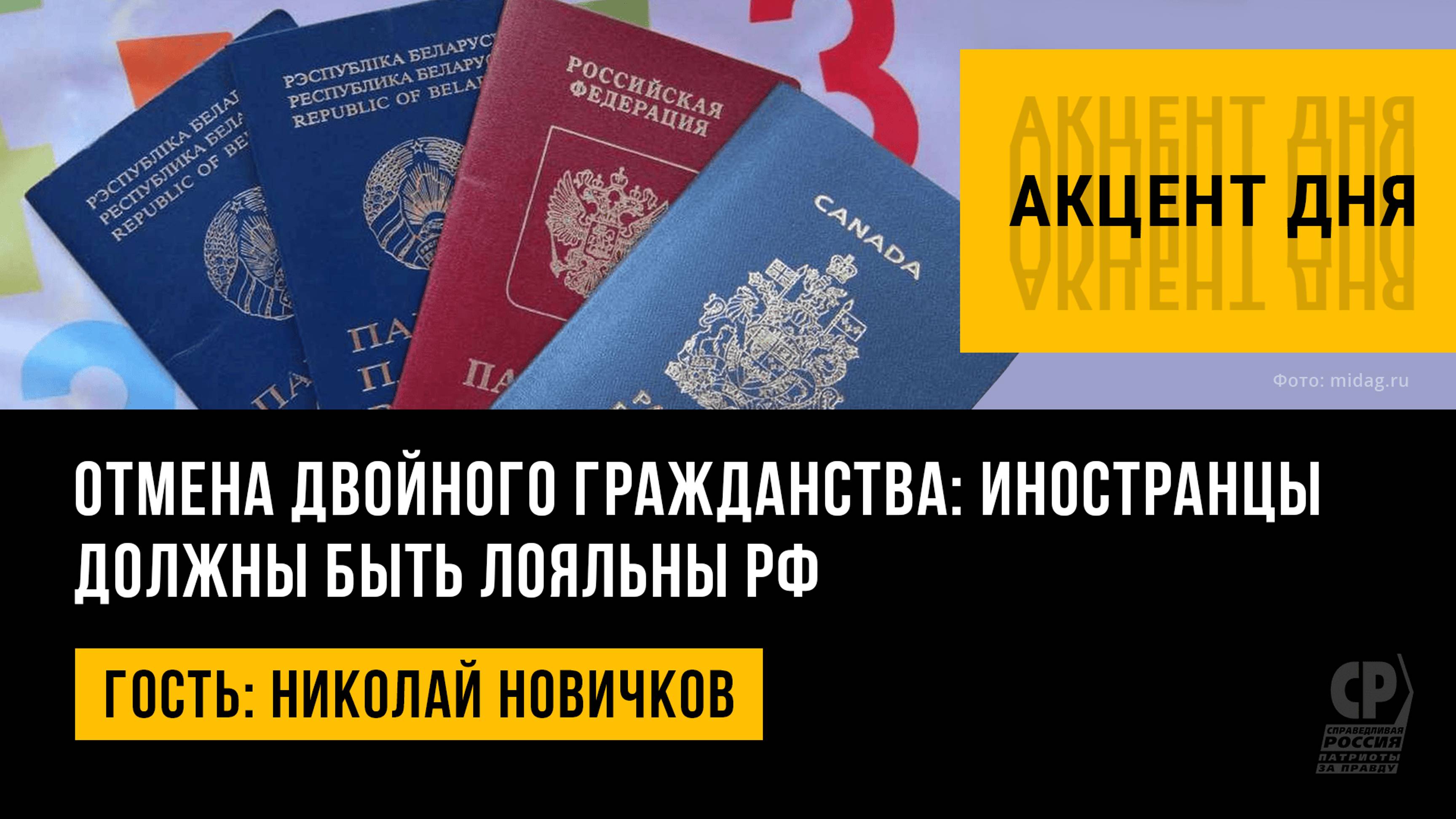 Отмена двойного гражданства: иностранцы должны быть лояльны РФ. Николай Новичков