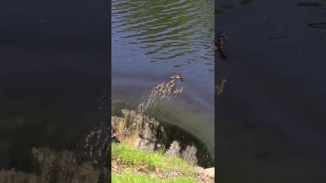 Фильм ужасов на 20 секунд