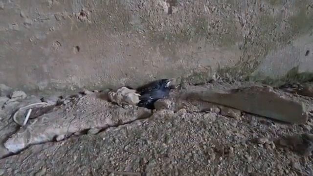"ПОТ ЗАТЕКАЕТ В ГЛАЗА..." КОП МЕТАЛЛА ПО НИЗКИМ ЦЕНАМ! ЕДУ СДАВАТЬ МЕТАЛЛОЛОМ |  ДЕНЬ 2