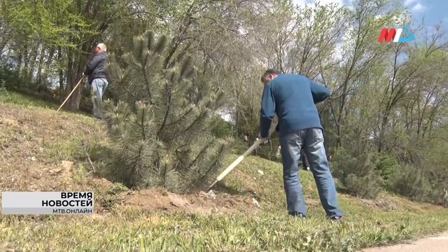 Больше 170 тонн мусора собрали в Волгоградской области в рамках всероссийской экоакции