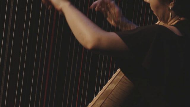 JS Bach: Chaconne from Violin Partita No 2 (Harp) | Anneleen Lenaerts