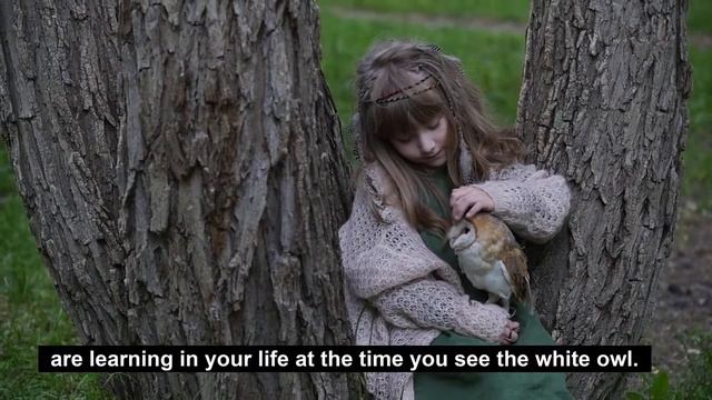 🦉What Does It Mean When You See An OWL?  | Owl Symbolisms And Spiritual Meanings