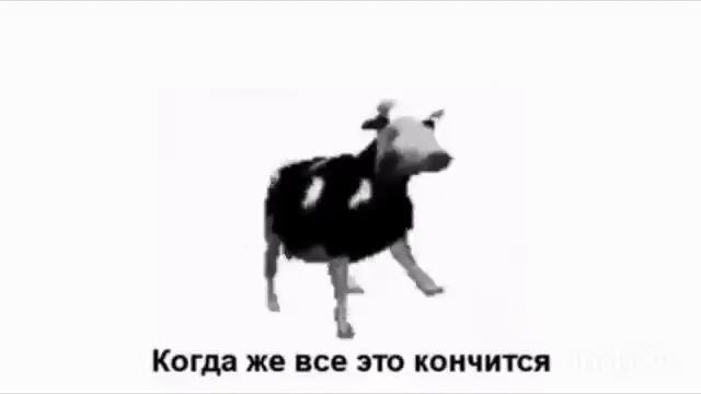польская корова напилась и начала петь песню на русском