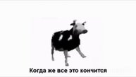 польская корова напилась и начала петь песню на русском