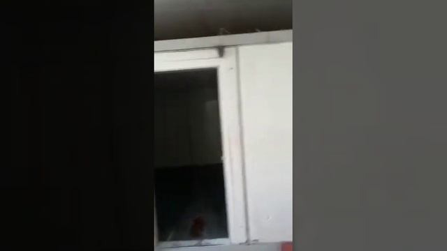 Оборудование Пельменный цех