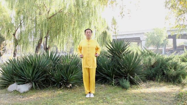 Ба Дуань Цзин (Восемь кусков парчи) · Версия с мячам - Цигун и Даоинь с профессором Ху Сяофэем