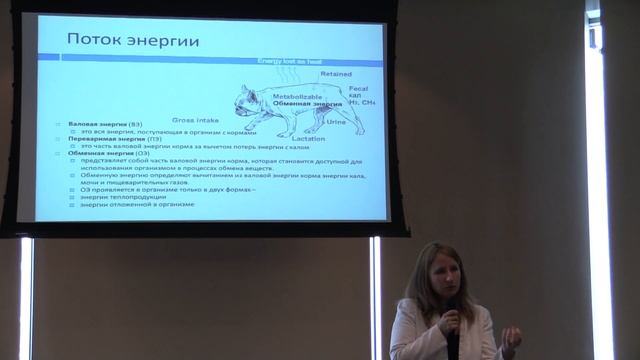 1 часть, Питание здоровых собак и котов, диетология, Лектор Галена Квист, Бельгия