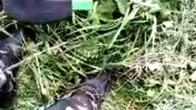 обзор триммера.кратон хорошая машинка для огородника.