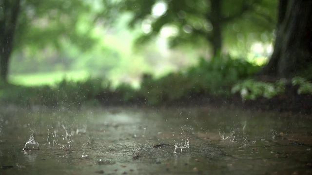 YouCut_20240328_205345626.mp4