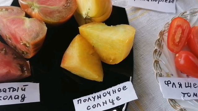 Фавориты первой дегустации томатов 27 июля