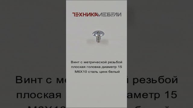 Винт с метрической резьбой плоская головка диаметр 15 М6Х10 сталь цинк белый шорт