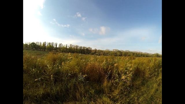 Открытие охоты на фазана в Одесской обл. 2020. "Бессарабский фазан"