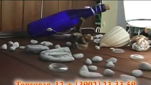 Ночной клуб Малибу