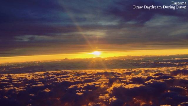 Eustoma / Draw Daydream During Dawn