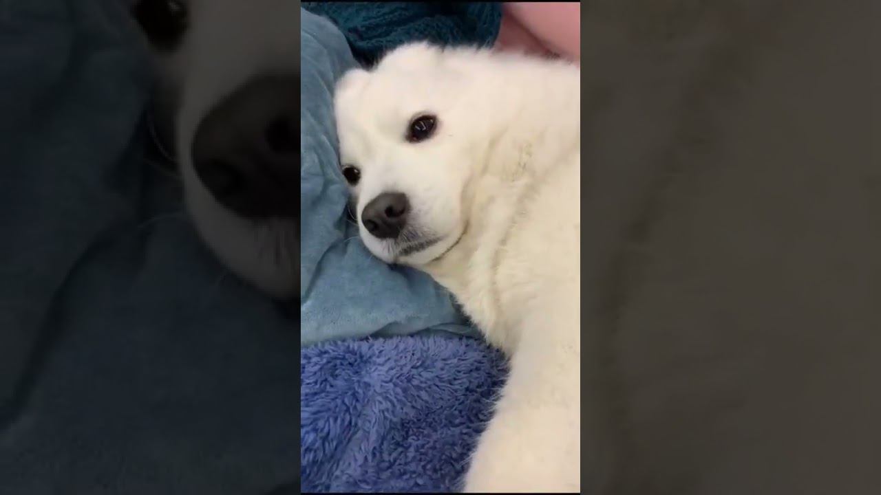 Cute