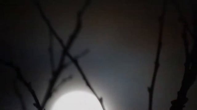 Прослушайте текст и напишите сжатое изложение
