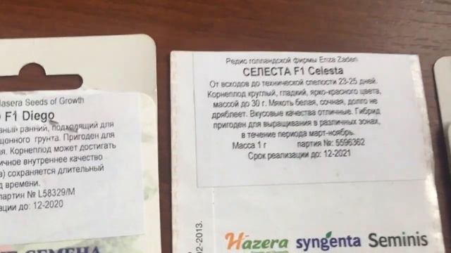 Самые любимые и надёжные сорта редиса. Хранятся до февраля!