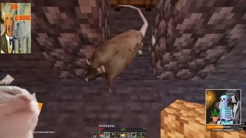 ? Minecraft. Я Стал Стивом Копателем в 3 утра без смс на 1 час