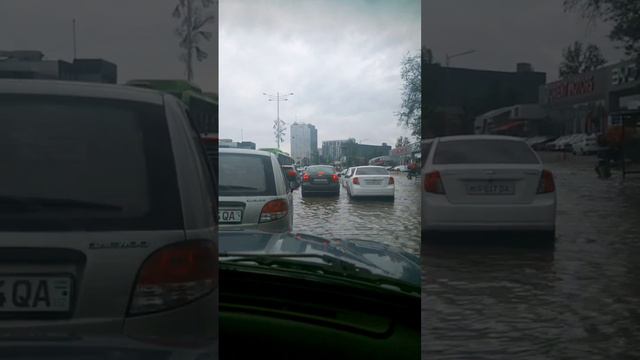 Дождь в Ташкенте