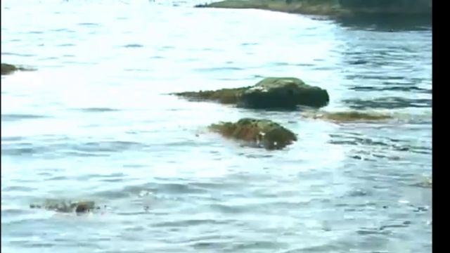 Релакс под саксофон Красивая расслабляющая музыка Саксофон для фона