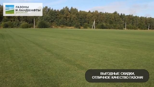 "Универсальный": бархатистый темно-зеленый рулонный газон