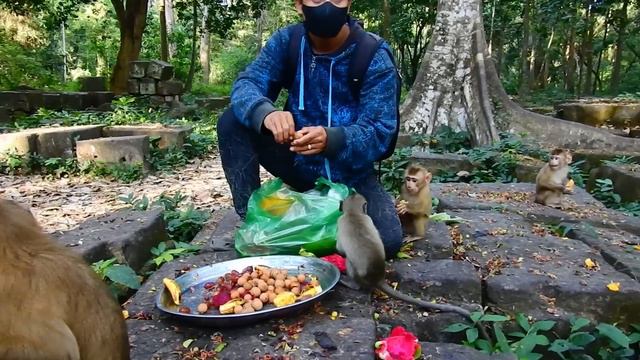 Libby bring her baby Rainbow to join breakfast, Carlo Dawn Niko & other are eating fruit