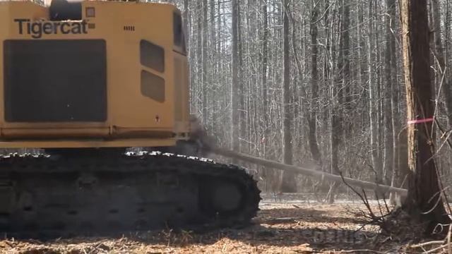 DAH 150Er на лесной машине Tigercat 822D – промышленные мульчеры DENIS CIMAF