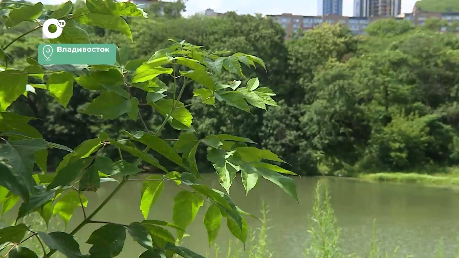 Городская среда / Парк Минного городка / 31.07.24