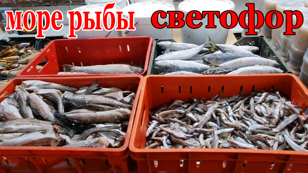 Магазин СВЕТОФОР.Вот это Да.Море свежей Рыбы Низкой цене.Май 2024