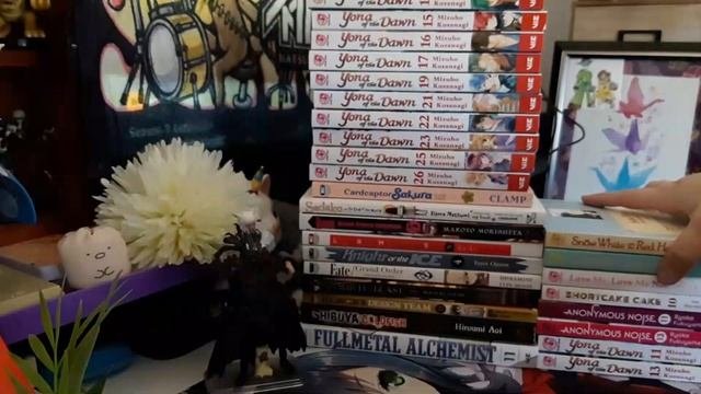 Monthly Manga Haul - November 2020