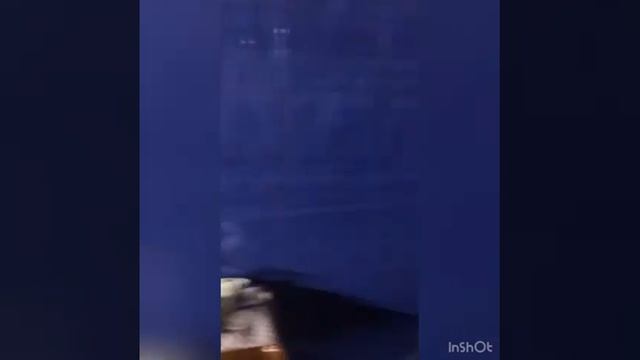 Украину приняли в Евросоюз е. Германия, беженцы жалуются на ужасные условия размещения 04.2022