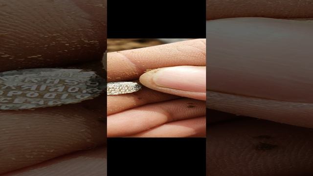 VID_20240428_110909.mp4