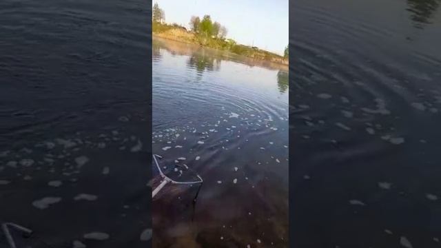 ПОЙМАЛ ОТПУСТИ!