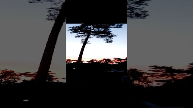 Красивейший необычный удивительный багровый алый закат (заход солнца за городом в Подмосковье)
