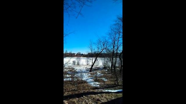 Орловский парк.