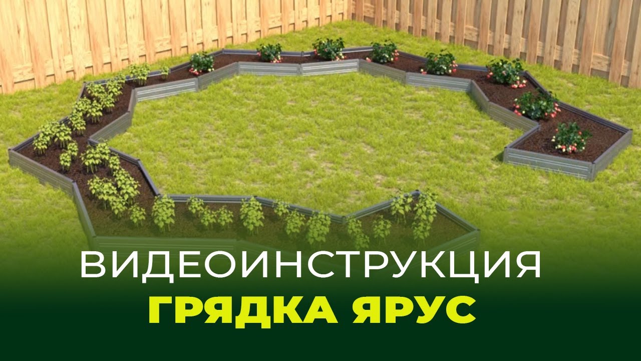 ГРЯДКА ЯРУС