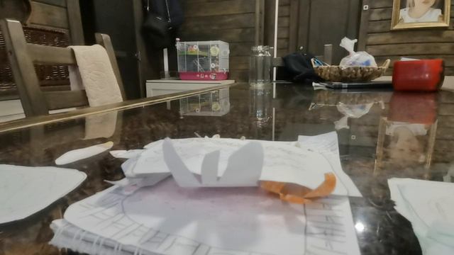 VID_20240721_115200_703