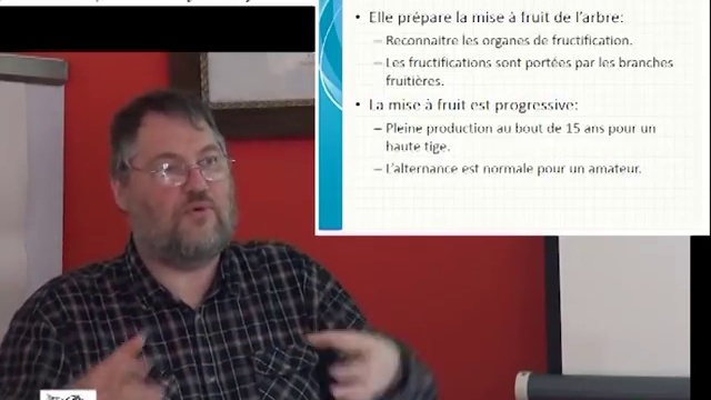 La taille de formation et de fructification Arbo 5 et 6