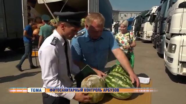Более 15 тыс. арбузов ввезено в Новосибирскую область под контролем Россельхознадзора