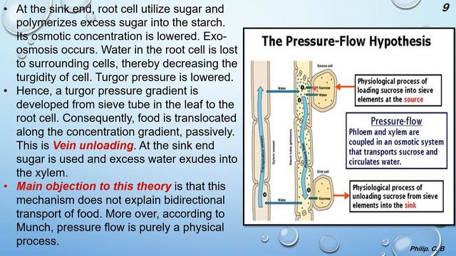 Class 12th | Plant Water Relation Ch-6 P-3 🌳🌿🍃💧🥏