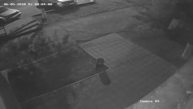 Воры цветов Мариуполь Бахчиванджи
