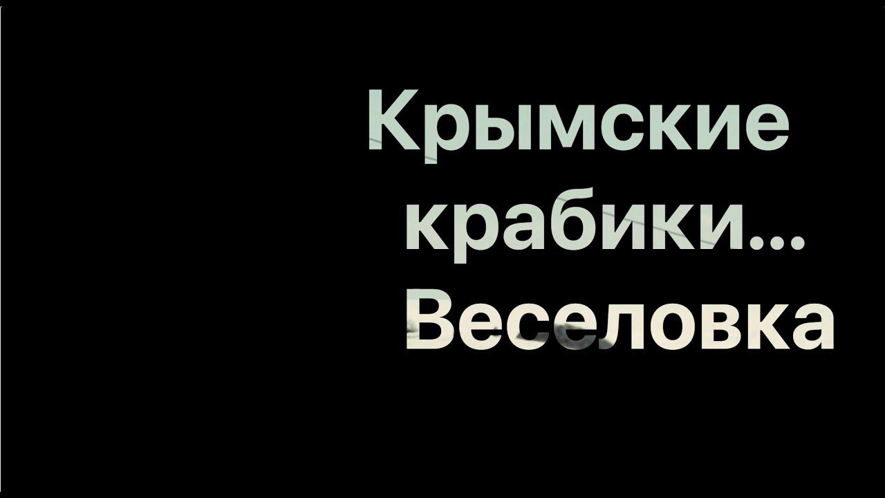 Крымские крабики на пляже в Веселовке